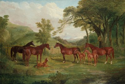 El Stud de Streatlam, Yeguas y Potros de John Frederick Herring Senior