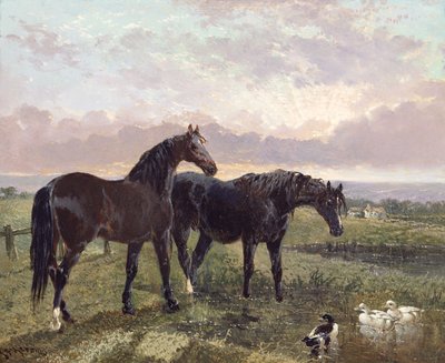 Dos caballos pastando al atardecer de John Frederick Herring Senior