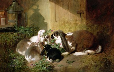Imagen desconocida de John Frederick Herring Senior