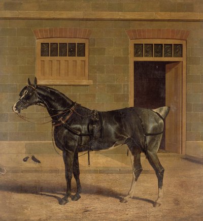 Imagen Desconocida de John Frederick Herring Senior
