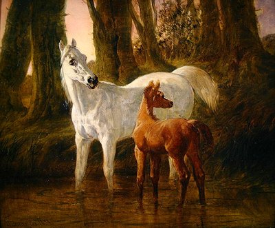 Cierva y Potro asustados mientras beben en un Arroyo de John Frederick Herring Senior