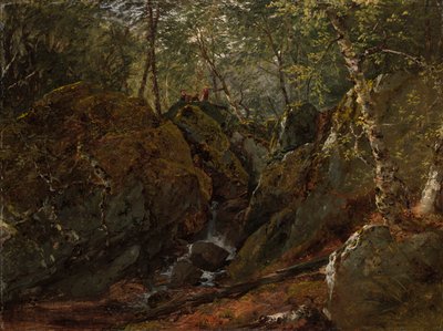 Cascada Catskill de John Frederick Kensett