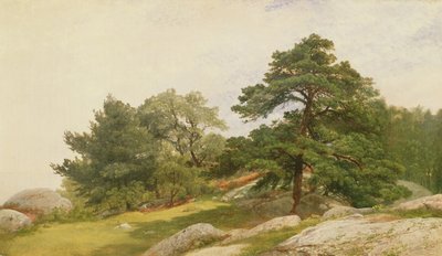 Estudio para árboles en la costa de Beverly de John Frederick Kensett