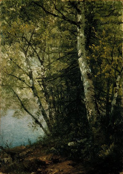  de John Frederick Kensett