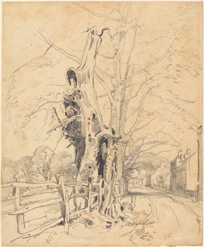 Árboles junto a una cerca de listones de John Frederick Kensett