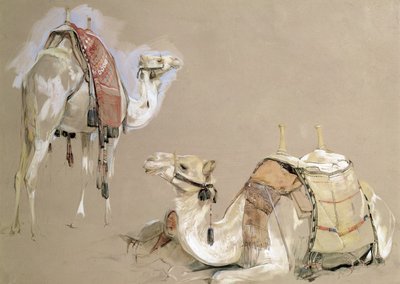 Estudios de camellos de John Frederick Lewis