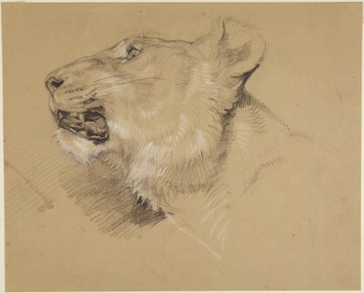  de John Frederick Lewis
