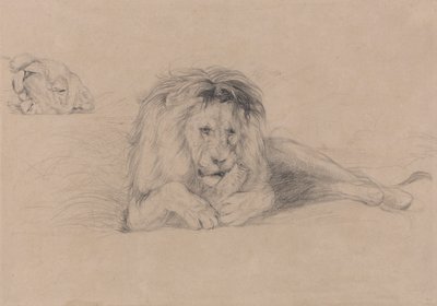 Estudio de un león y Estudio de la cabeza de una leona de John Frederick Lewis