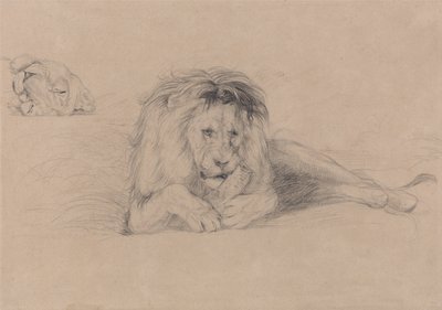 Estudio de un león y Estudio de la cabeza de una leona de John Frederick Lewis