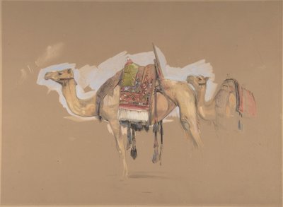 Dos camellos, ca. 1843 de John Frederick Lewis