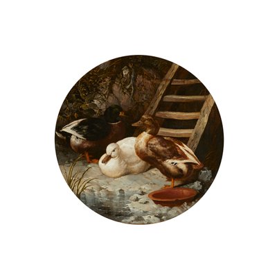 Patos en la orilla de un río de John Frederick Herring Senior