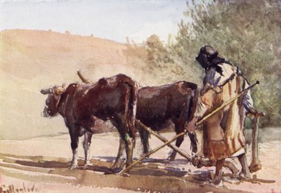 Arando en el Monte de los Olivos de John Fulleylove