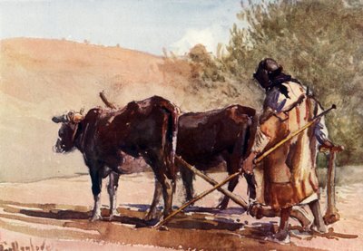 Arando en el Monte de los Olivos, 1902 de John Fulleylove