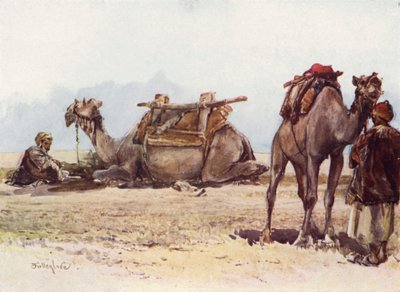 Estudio de camellos y asistentes de John Fulleylove