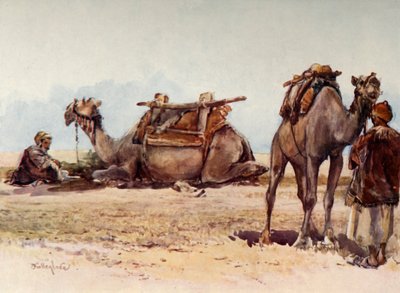 Estudio de camellos y asistentes, 1902 de John Fulleylove