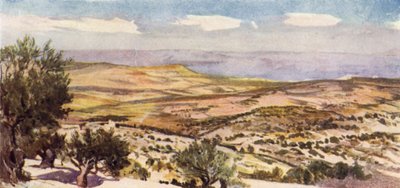 Los campos de Rut y Booz, cerca de Belén de John Fulleylove