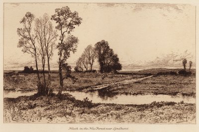 Heath en el New Forest, cerca de Lyndhurst (grabado) de John Fullwood