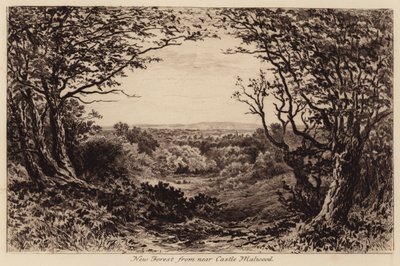 New Forest desde cerca de Castle Malwood (grabado) de John Fullwood