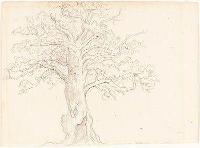 Un Roble de John Glover