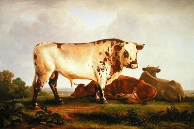 Toro de John Glover