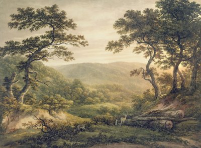 Bosque de Needlewood, Hampshire de John Glover