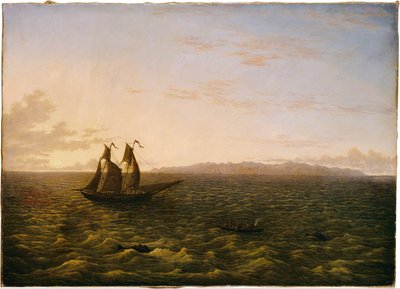 La isla de Madeira de John Glover