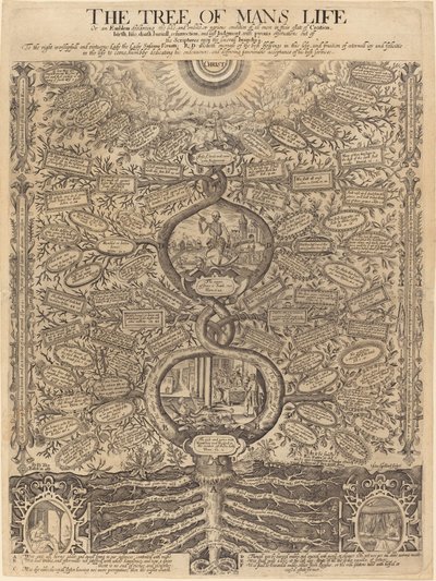 El árbol de la vida del hombre de John Goddard, after Richard Dey