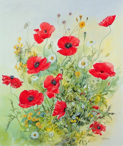 Amapolas y manzanilla de John Gubbins
