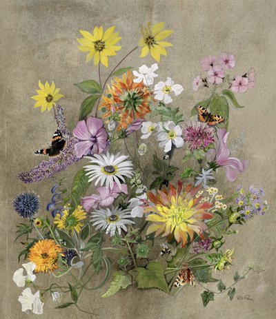 Flores de verano de John Gubbins