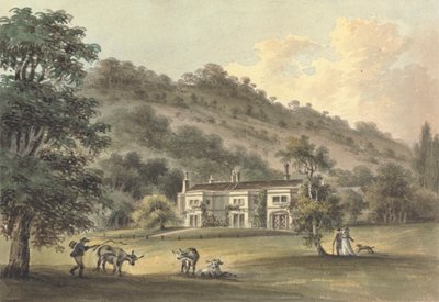 Grove Cottage, Box Hill, Surrey, la sede de George Barclay Esq. de John Hassell