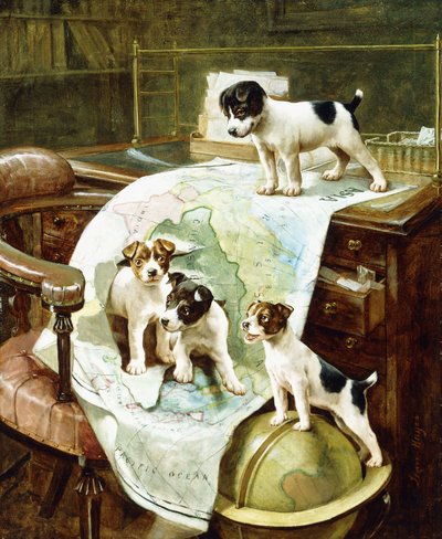 Cachorros de Jack Russell bien viajados de John Hayes