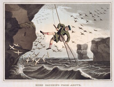 Captura de aves desde arriba, grabado por Matthew Dubourg, publicado por Edward Orme, 1813 de John Heaviside Clark