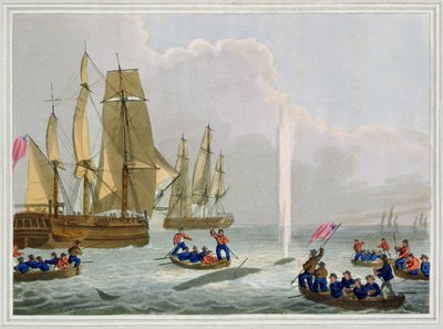Barcos acercándose a una ballena, grabado por Matthew Dubourg, publicado por Edward Orme, 1813 de John Heaviside Clark