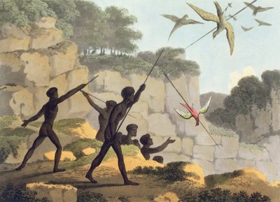 Lanzando la lanza, aborígenes cazando aves de Nueva Gales del Sur grabado por Matthew Dubourg, pub. 1813 de John Heaviside Clark