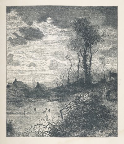 Placa 23. Un estanque, de 