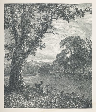 Lámina 3. Ciervo alrededor de un árbol.  Imágenes de la naturaleza. Una serie de treinta ilustraciones originales dibujadas en madera por J. H. Dell y grabadas por R. Paterson.  Juan Enrique Dell de John Henry Dell