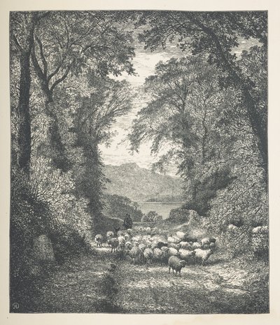 Lámina 4. Ovejas conducidas por un pastor, por un camino.  Imágenes de la naturaleza. Una serie de treinta ilustraciones originales dibujadas en madera por J. H. Dell y grabadas por R. Paterson.  Juan Enrique Dell de John Henry Dell