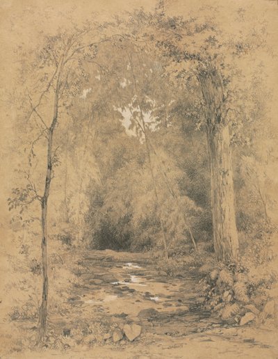 Interior del bosque, c. 1870 de John Henry Hill