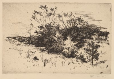 Otoño en Avondale de John Henry Twachtman
