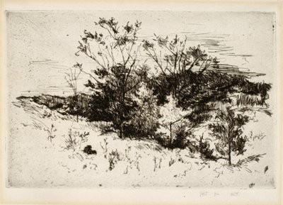 Paisajismo cerca de Cincinnati de John Henry Twachtman