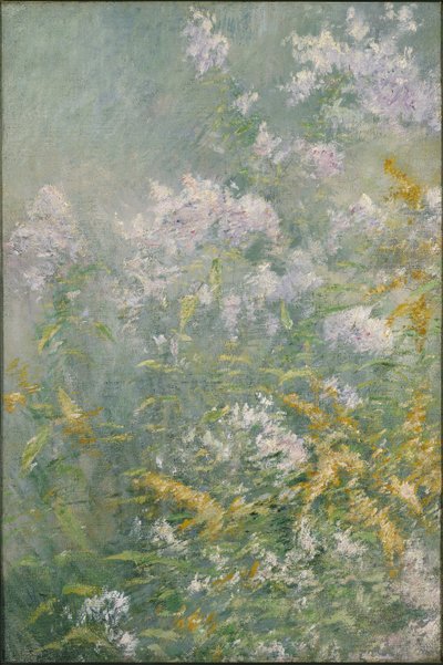 Flores de los prados (vara de oro y áster silvestre) de John Henry Twachtman