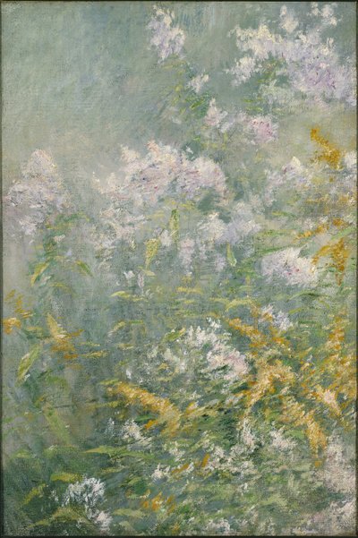 Flores de pradera (vara de oro y áster silvestre), c.1892 de John Henry Twachtman