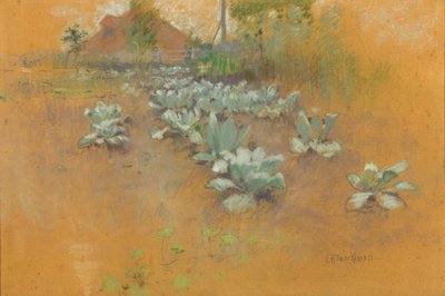 Plantación de tabaco, c. 1895-1899 de John Henry Twachtman