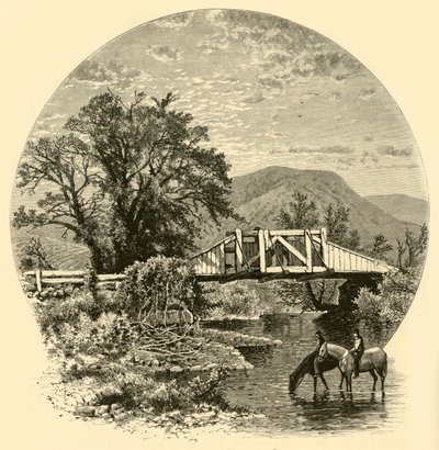 Puente viejo, río Blackberry, cerca de Canaan, 1874 de John J. Harley
