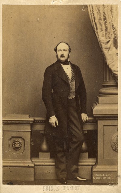 Príncipe Consorte. [Francisco Carlos Augusto Manuel Alberto, Príncipe de Sajonia-Coburgo-Gotha] de John Jabez Edwin Mayall