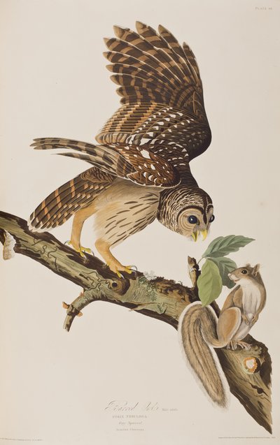 Ilustración de 
