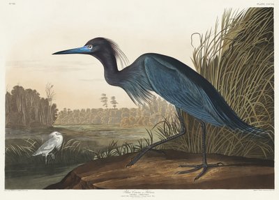  de John James Audubon