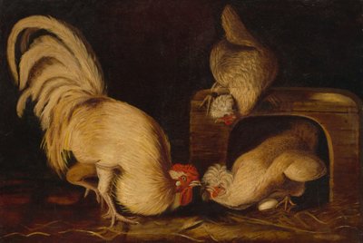 Aves de corral, c. 1827 de John James Audubon