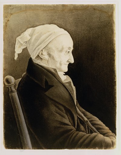 Henri De Gallon, 1819 de John James Audubon