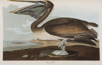 Ilustración de 